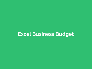 Excel Business Budget & Finance Tracker